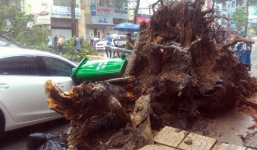 Nam thanh niên bị cây cổ thụ đè ở Sài Gòn đã tử vong