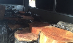 Bắt xe ô tô biển xanh giả chở gỗ lậu