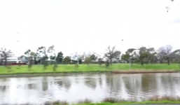 Video: Rắn 'trên trời rơi xuống' gây náo loạn tiệc nướng ngoài trời