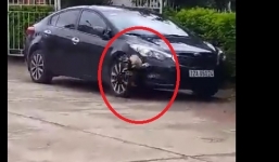 Video: Gà chọi điên cuồng lao vào tấn công ô tô