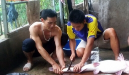 Câu được cá lăng khủng nặng 10kg