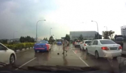 Giao thông tắc nghẽn vì ô tô tránh...con rùa