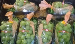 Sợ hàng Trung Quốc, dân Hà thành đổ xô mua nho xanh Nhật 1,3 triệu đồng/kg