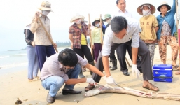 Bộ TNMT làm việc với Formosa về công tác khắc phục hậu quả ô nhiễm