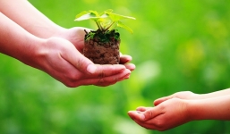 Không cần tiền, hãy tích đức bằng 17 điều sau phước lộc sẽ vào đầy nhà