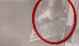 Video: Để 20 triệu trong cốp, thanh niên bị trộm mất cả xe lẫn tiền