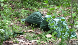 Phát hiện thi thể người đàn ông nổi trên sông