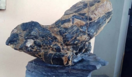 Hòn đá 50.000 của lão ông Nam Định bỗng được trả giá hàng tỷ đồng