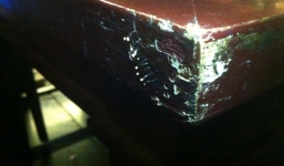 'Hoa Ưu đàm 3.000 năm mới nở một lần' xuất hiện ở Hà Nội