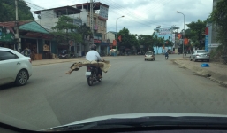 Sự thật đau lòng về hình ảnh xe máy chở thi thể trên phố