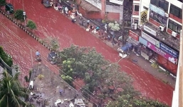 Video: Đường phố biến thành sông máu vì lễ hiến tế động vật