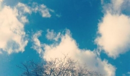 Bí kíp có được bức ảnh 'nghìn like' trên mạng xã hội