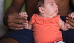 Bộ Y tế họp khẩn phòng chống virus Zika cùng các nước Asean