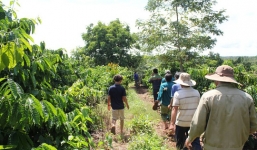 Hàng chục người đang truy tìm nghi can sát hại bé gái 7 tuổi