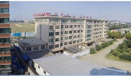 Thiếu nữ giết mẹ ruột vì bị ngược đãi trong trại cai nghiện internet