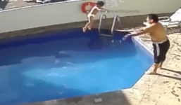 Video cha dượng ném con gái 3 tuổi xuống bể bơi tử vong gây phẫn nộ