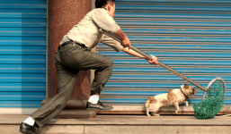 Chủ quán bán thịt chó kiêm cẩu tặc bị người dân vây bắt