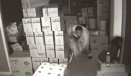 Video: Cô gái trẻ đấu súng với 3 tên cướp đột nhập vào nhà