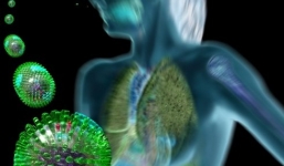 Hàng trăm công nhân miền Tây nhiễm cúm H1N1