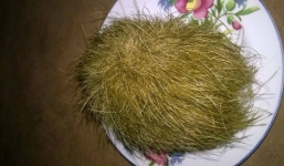 Tìm thấy “cát lợn giá tiền tỷ” ở Đắk Lắk