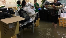 Biệt thự 66 tỷ của Đàm Vĩnh Hưng 'chìm' trong biển nước