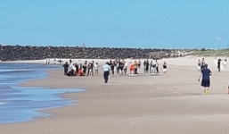 Thiếu niên Australia bị cá mập trắng khổng lồ tấn công