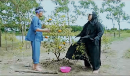 Trailer 'Ăn quýt trả vàng' của Bảo Chung gây 'sốt' mạng khi vừa ra mắt