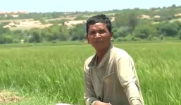 Anh nông dân có giọng hát được ví như 'bản sao' Chế Linh 