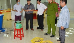Công ty thủy sản bị phạt hơn nửa tỷ đồng vì bơm tạp chất vào tôm