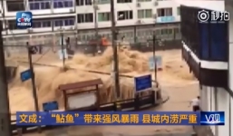 Video: Hãi hùng nước lũ cuồn cuộn trên phố sau bão Megi