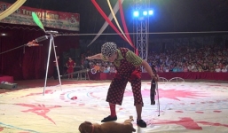 NSƯT Nguyễn Trường Thành đột tử trên sân khấu