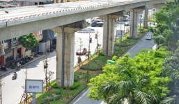 Vụ trồng cây dưới gầm cầu: Lãnh đạo Công ty cây xanh nói gì?