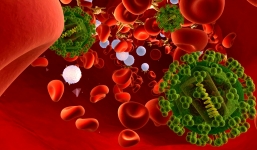 Một bệnh nhân HIV ở Anh được điều trị thành công