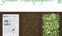 Kỳ diệu tờ báo mọc thành cây xanh