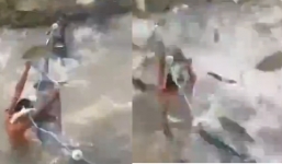 Video: Bơi trên sông, cậu bé 14 tuổi bị cá sấu tấn công