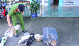 Thanh niên trộm chó, mèo tự nhận là cử nhân Luật