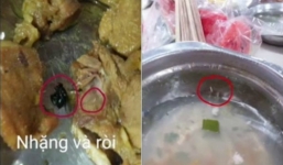 Kinh hãi khay cơm cho công nhân đầy dòi, xác ruồi ở Quảng Ninh