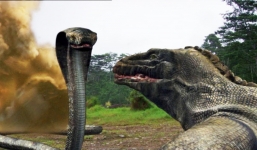 Kỳ đà dũng mãnh xơi tái hổ mang chúa 