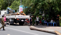 Xe cẩu làm rơi thân dừa đè chết bé trai 15 tuổi 
