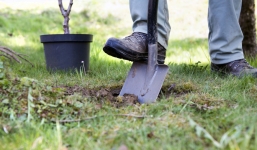 Tìm thấy kho báu nhờ bản đồ ông nội để lại