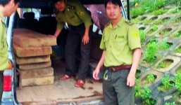 Kiểm lâm nổ súng truy bắt xe biển xanh chở gỗ lậu