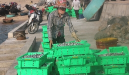 Tòa án trả lại 506 đơn kiện Formosa Hà Tĩnh của người dân