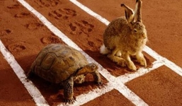 Tái hiện cuộc đua thỏ và rùa trong truyện ngụ ngôn