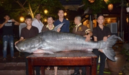 Máy bay chở cá tra 'khủng' nặng hơn 200kg, dài 2m