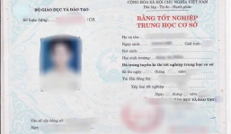 Trưởng ban Tổ chức Thành ủy dùng bằng đi mượn xin từ chức