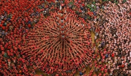 Nín thở xem xây tháp người hàng chục tầng ở Tây Ban Nha