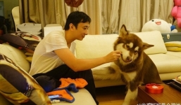 Ngắm kho hàng hiệu xa xỉ dành cho thú cưng của đại gia Trung Quốc