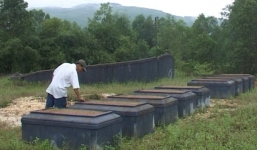 Triệu tập người đàn ông nghi đóng đinh lên hàng nghìn ngôi mộ