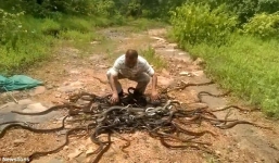 Video: Người đàn ông mang bao tải rắn hơn 300 con thả vào tự nhiên