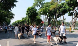 Có phải rọ mõm chó khi đưa ra phố đi bộ hay không?